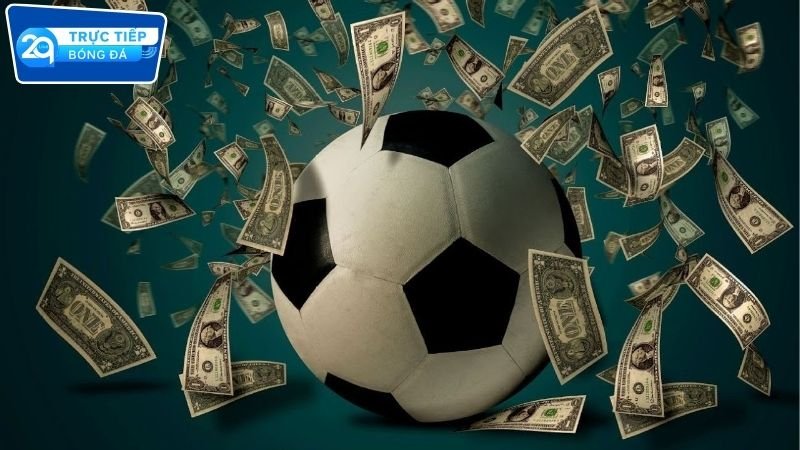 Cá độ bóng đá 2Q tỷ lệ cao kèo đa dạng 2 Cá độ bóng đá 2Q an toàn – minh bạch