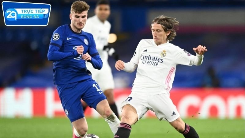 dat-cuoc-the-thao-2q