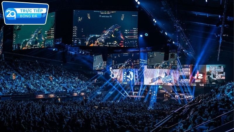 Hướng dẫn đặt kèo hiệu quả