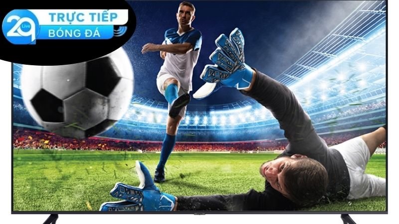 Dabong.net - Nền Tảng Phát Sóng Bóng Đá Hàng Đầu Ở Việt Nam 2 dabong-net