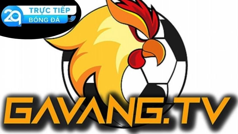 Giới thiệu về Gà Vàng TV