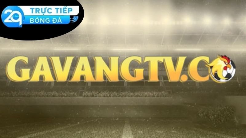 Gà Vàng TV - Cổng Thông Tin Thể Thao Hàng Đầu Việt Nam 9 ga-vang-tv