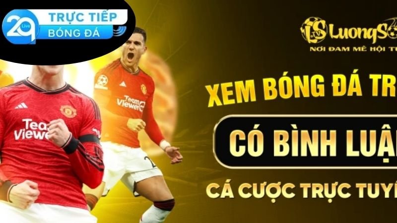 Lương Sơn TV - Nền Tảng Xem Bóng Đá Trực Tuyến Hàng Đầu 3 Chất lượng phục vụ và trải nghiệm của cộng đồng người dùng