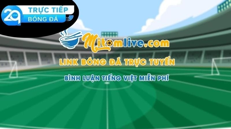 Mitom TV - Nền Tảng Truyền Hình Bóng Đá Hàng Đầu Tại Việt Nam 2 Tổng quan về Mitom TV