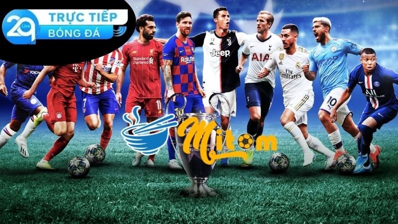 Mitom TV - Nền Tảng Truyền Hình Bóng Đá Hàng Đầu Tại Việt Nam 4 Vai trò về cộng đồng và sự phát triển của Mitom TV