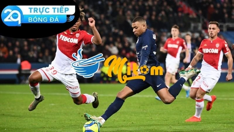 Mitom TV - Nền Tảng Truyền Hình Bóng Đá Hàng Đầu Tại Việt Nam 3 Tính năng và ưu điểm nổi bật thu hút người dùng của Mitom TV