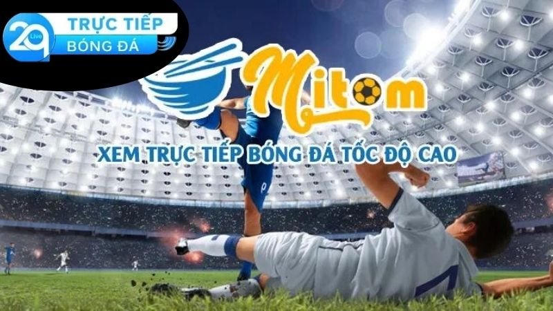 Mitom TV - Nền Tảng Truyền Hình Bóng Đá Hàng Đầu Tại Việt Nam 4 mitom-tv