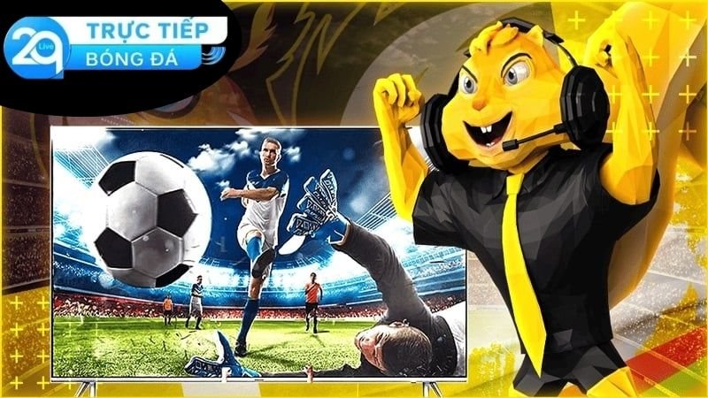 Socolive - Trải Nghiệm Đỉnh Cao Nhất Cho Người Hâm Mộ 2 Giới thiệu chung về Socolive