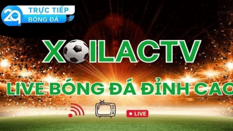 Xôi Lạc TV: Nền Tảng Phát Sóng Bóng Đá Hàng Đầu Tại Việt Nam 3 Chất lượng dịch vụ và trải nghiệm người dùng